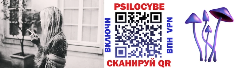даркнет сайт  Козьмодемьянск  Галлюциногенные грибы Psilocybine cubensis 